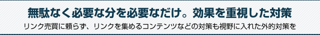 無駄なく必要な分を必要なだけ。効果を重視した対策。リンク売買に頼らず、リンクを集めるコンテンツなどの対策も視野に入れた外的対策を