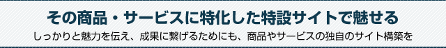 その商品・サービスに特化した特設サイトで魅せる。しっかりと魅力を伝え、成果に繋げるためにも、商品やサービスの独自のサイト構築を