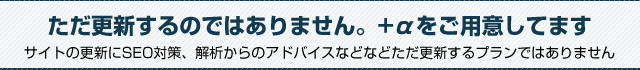 ただ更新するのではありません。+αをご用意してます。サイトの更新にSEO対策、解析からのアドバイスなどなどただ更新するプランではありません